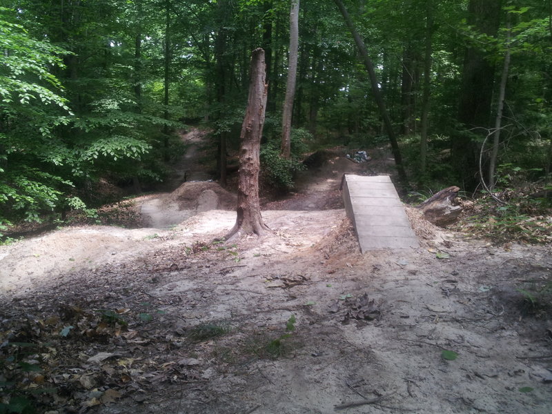 Some jumps to play on.