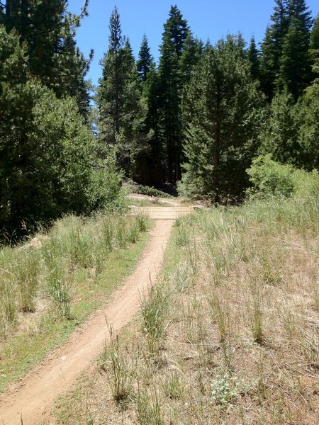 Some parts of the trail have lots of sun exposure.