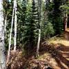 In between overlooks, the trail winds through forests and small canyons