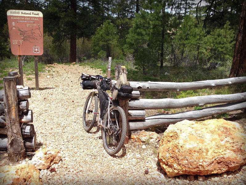 The trailhead at Parissawampitts Point