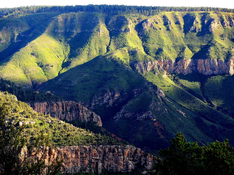 The lovely and verdant Powell Plateau as viewed from Timp Point