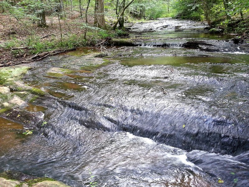 Site of the planned creekside rest and picnic area, easily accessible from the Red and Blue Trails.