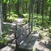 A bench right on the shore of a small pond. A nice scenic spot.