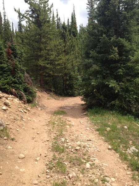 Lost Lake Spur road with loose rocks and ruts in places. Low clearance vehicles not recommended