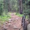 Typical of this trail: some exposed roots loose rocks