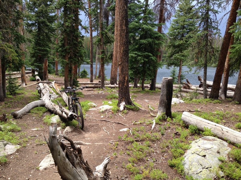 The trail is not particularly clear at this point. From this viewpoint, it comes from behind and continues to the right.