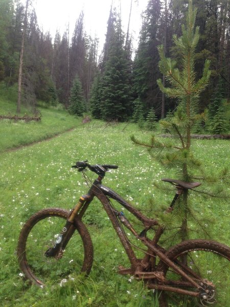 Caught in a rainstorm descending Buck Creek and connecting to Notthingham Ridge.