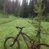 Caught in a rainstorm descending Buck Creek and connecting to Notthingham Ridge.