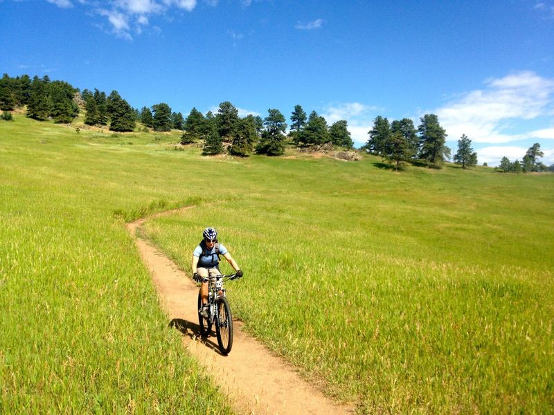 CO blue skies and early season green grass.