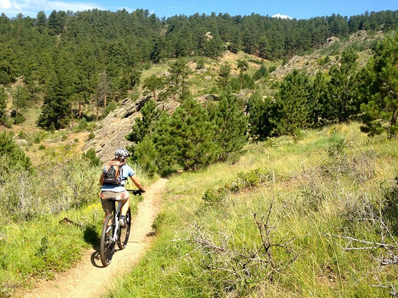 Easy singletrack on Sawmill