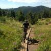 Cool ramps make it (a little) easier to climb up the end of Mustang Trail