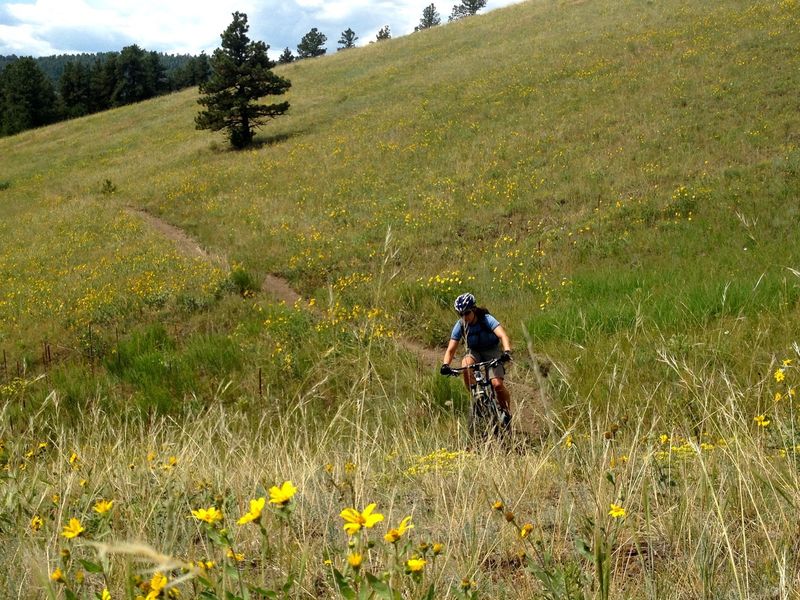 My favorite part of Rawhide Trail - fast, flowing singletrack filled with flowers.