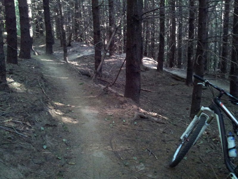 Rolling fast trail