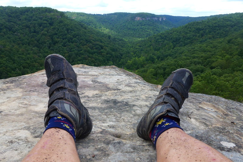 The view from the overlook above no Business Creek.