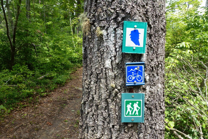 Chestnut Ridge is part of the John Muir Trail in Big South Fork.