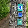 Chestnut Ridge is part of the John Muir Trail in Big South Fork.