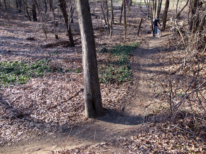 End of the "Green Apple" section, fast single track