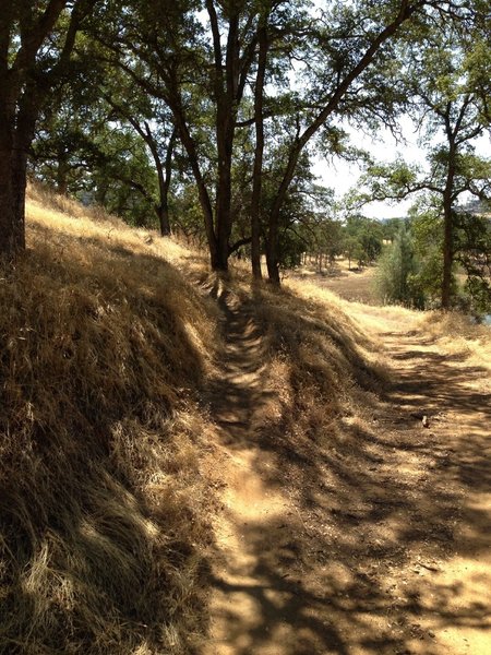 End of Singletrack, easy to miss on return