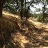 End of Singletrack, easy to miss on return