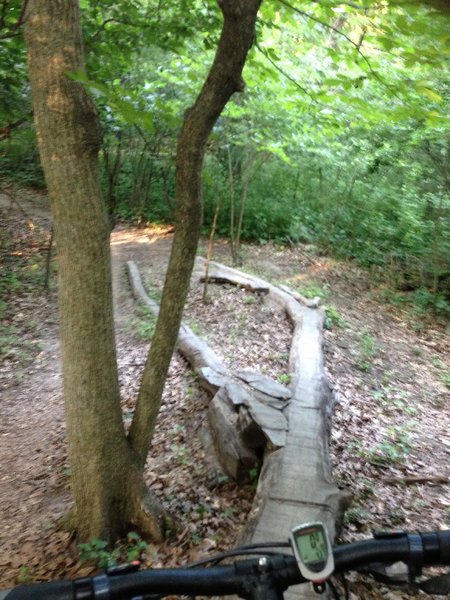 Fun feature located along trail.