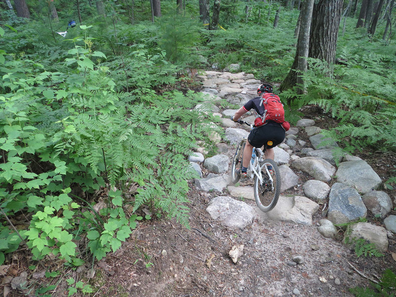 Up a rock garden