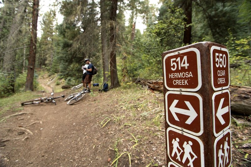 Stopping to confirm coordinates along the Hermosa Creek Trail.