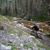 Creekside cruising along the the Hermosa Creek Trail.