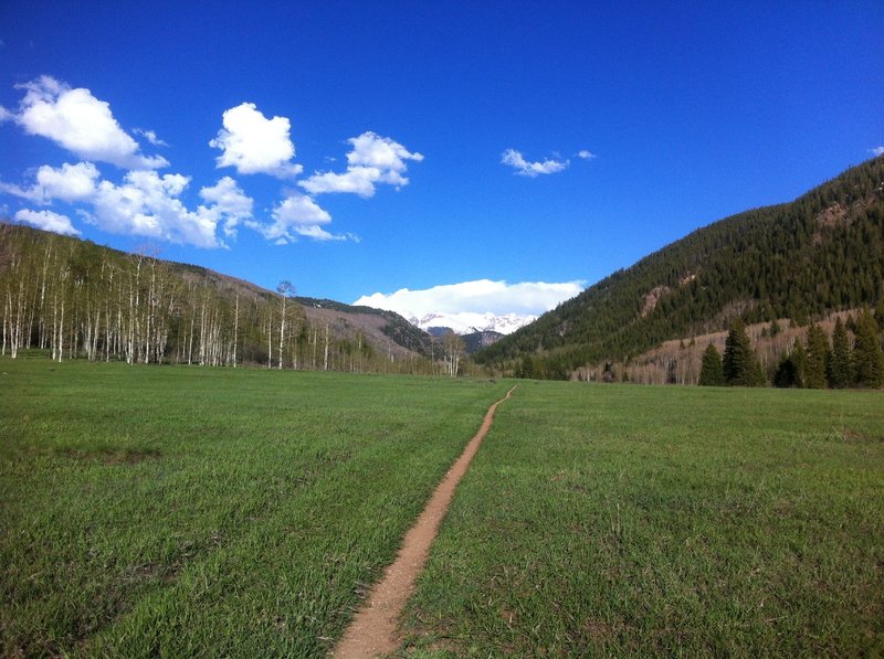 Looking towards Thimble Rock and the Williams Mountains while heading east on the North Hunter Creek Trail.