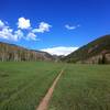 Looking towards Thimble Rock and the Williams Mountains while heading east on the North Hunter Creek Trail.