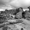 Darting through a rock-lined crease at the Hartman Rocks Recreation Area.