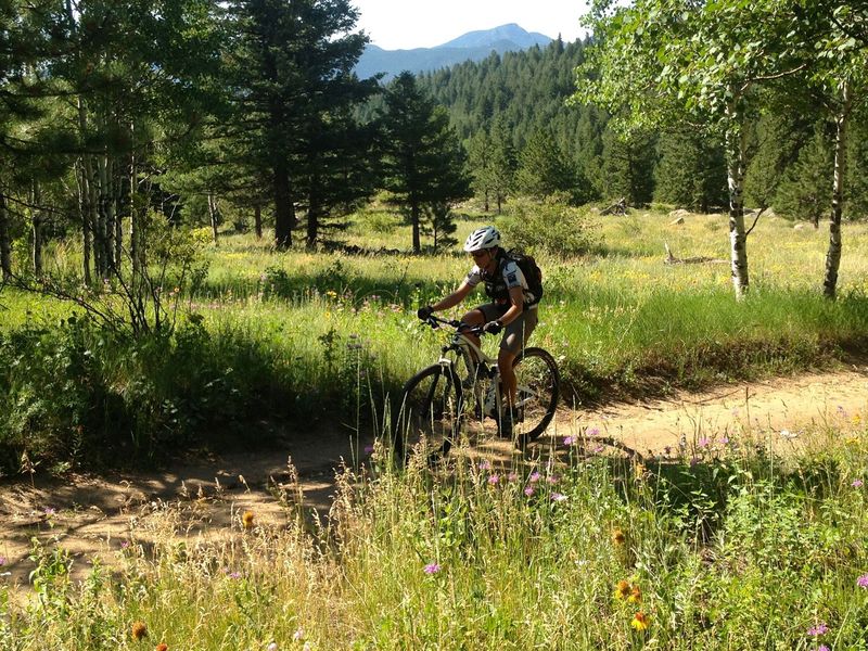 Climbing up Meyers Homestead