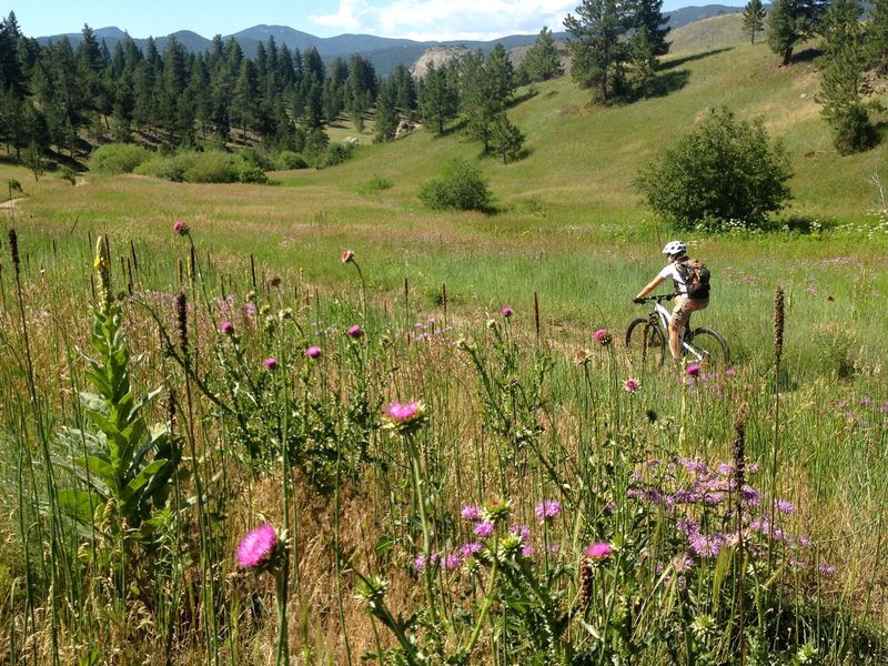 The original Meyers Homestead was in this meadow.