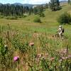 The original Meyers Homestead was in this meadow.