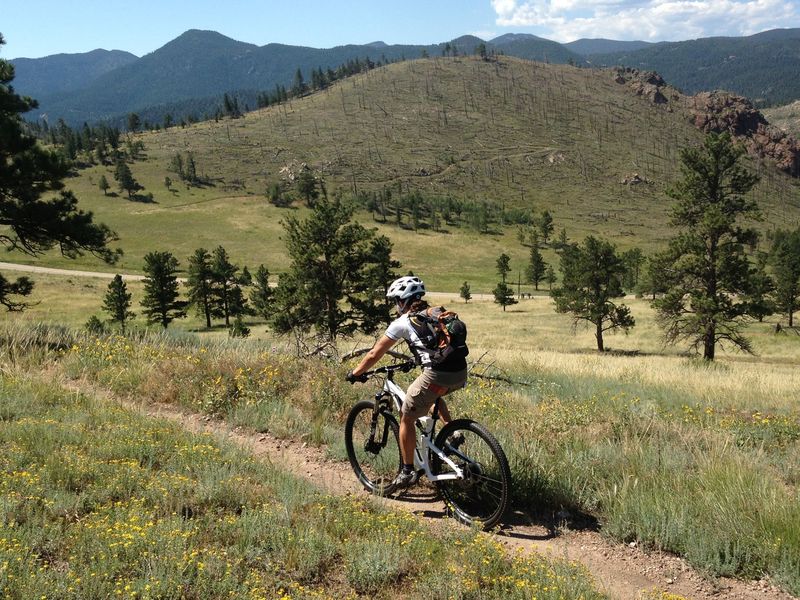 Easy singletrack past an old burn area.