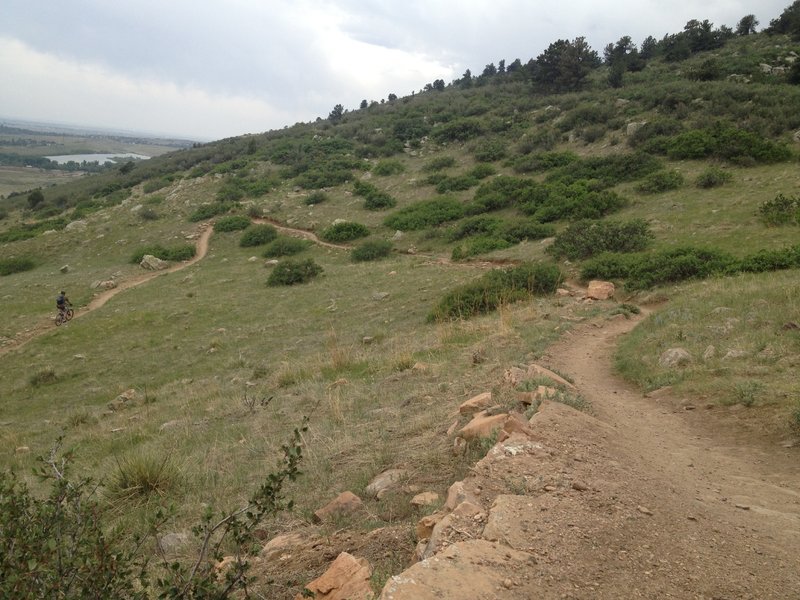 The view south from near the top of Maxwell Trail