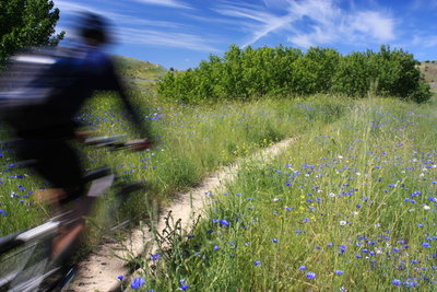 Polishing off an awesome loop at Military Reserve Park in the Boise Foothills.