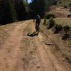 Ben shredding up a forest service dirt road to get on top of the ridge.
