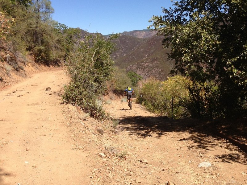 Ben starting up again on the downhill descent from the top of Buck Meadows down to the Tuolumne rive and Lumsden Road.