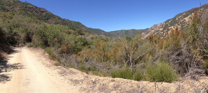 Panorama from lumsden road riding up.  Here the grade up the canyon is very mellow but it gets steeper above.  You can slightly make out the road going up the canyon in the photo.