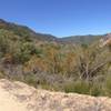 Panorama from lumsden road riding up.  Here the grade up the canyon is very mellow but it gets steeper above.  You can slightly make out the road going up the canyon in the photo.