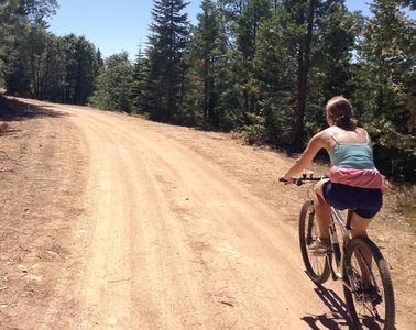 View of the ride on the way up to Pilots Peak on forest service dirt roads.