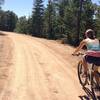 View of the ride on the way up to Pilots Peak on forest service dirt roads.