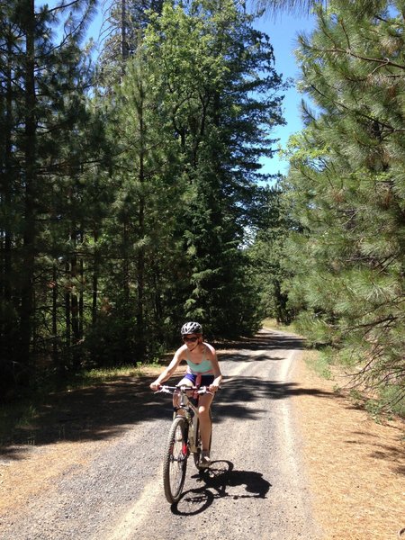 View on the ride up to Pilots Peak.  Nice gradual forest service dirt and gravel roads.