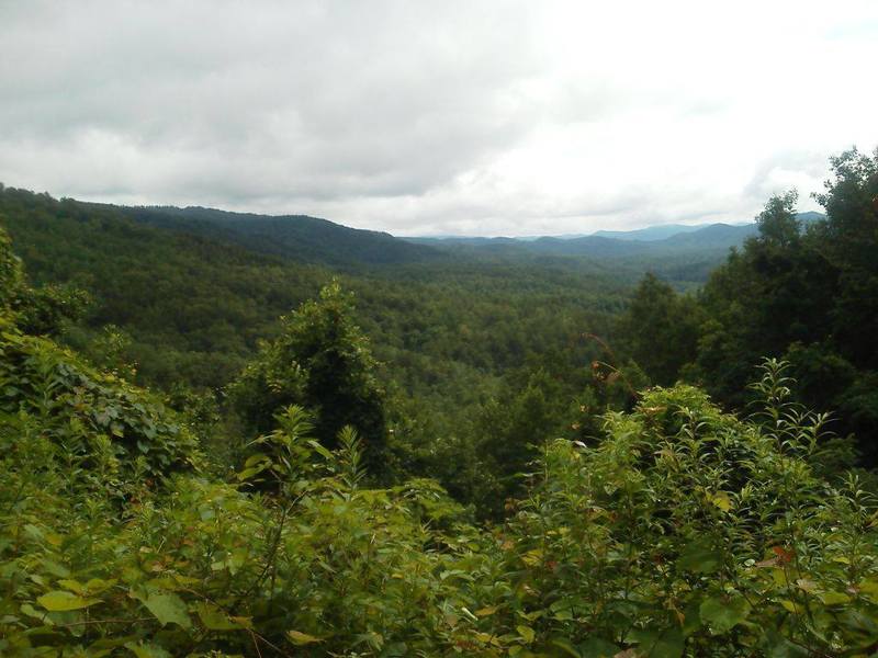 View from Maple Sally Road