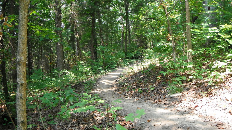 Some buff singletrack.