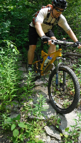 Limestone slabs on an optional line.