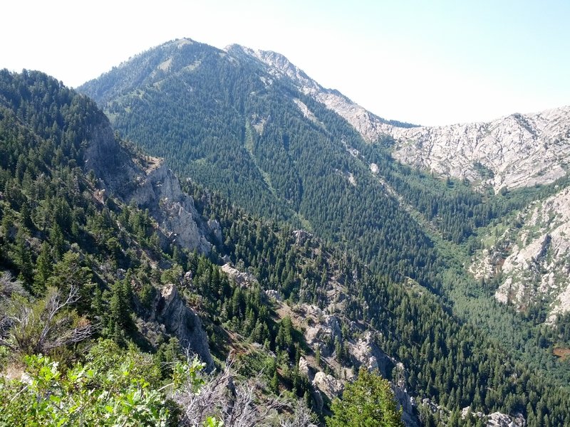 The back of Mt. Allen from the Coldwater Canyon Overlook.