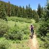 Descending Kokomo Pass.