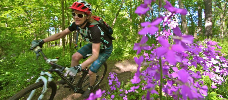 Camrock mountain bike trails sale