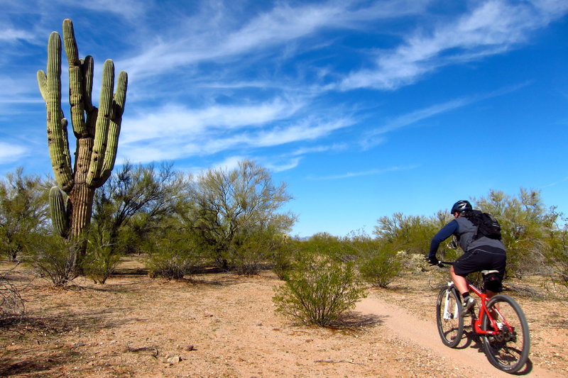 Tearing up the fast desert terrain of the awesome Fantasy Island trail network.